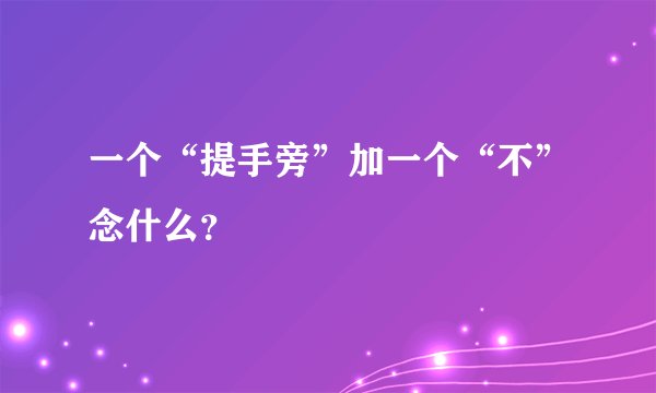 一个“提手旁”加一个“不”念什么?