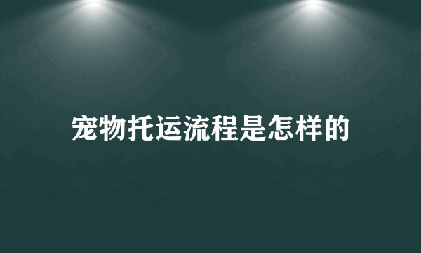 宠物托运流程是怎样的