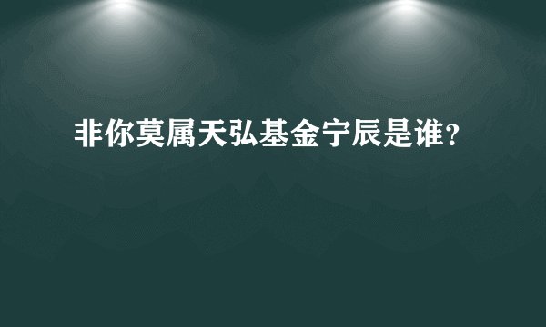 非你莫属天弘基金宁辰是谁?