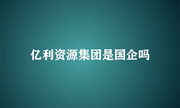 亿利资源集团是国企吗