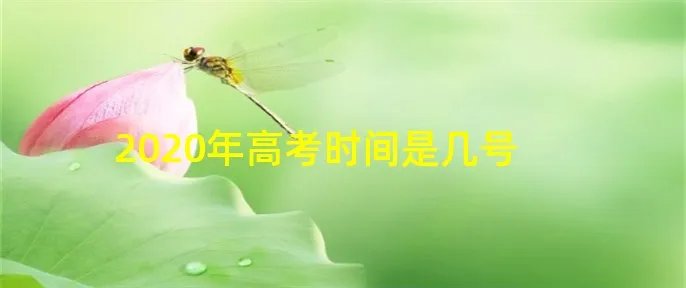 2020年高考时间是几号