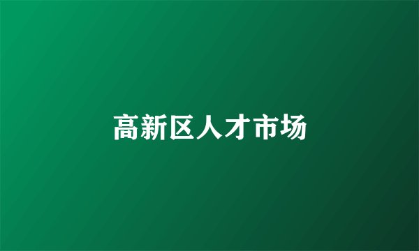 高新区人才市场