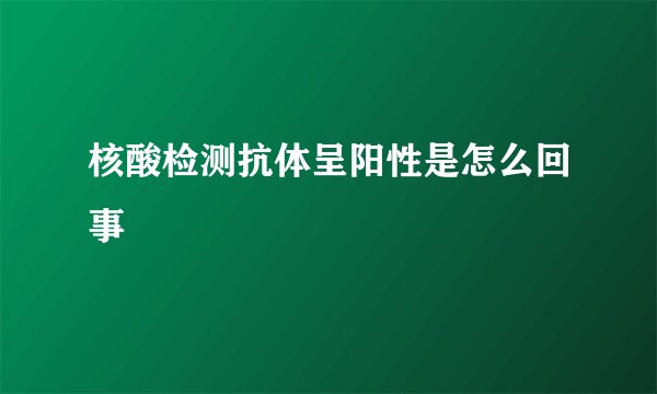核酸检测抗体呈阳性是怎么回事