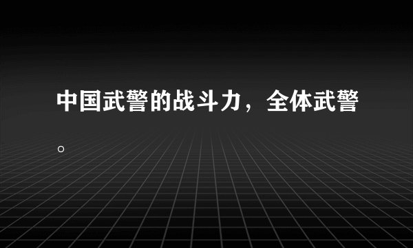 中国武警的战斗力，全体武警。