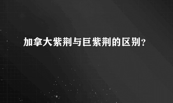 加拿大紫荆与巨紫荆的区别？