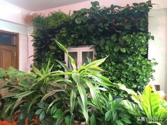 室内空气质量不好怎么办？