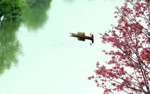 千里莺啼绿映红,水村山郭酒旗风猜一动物