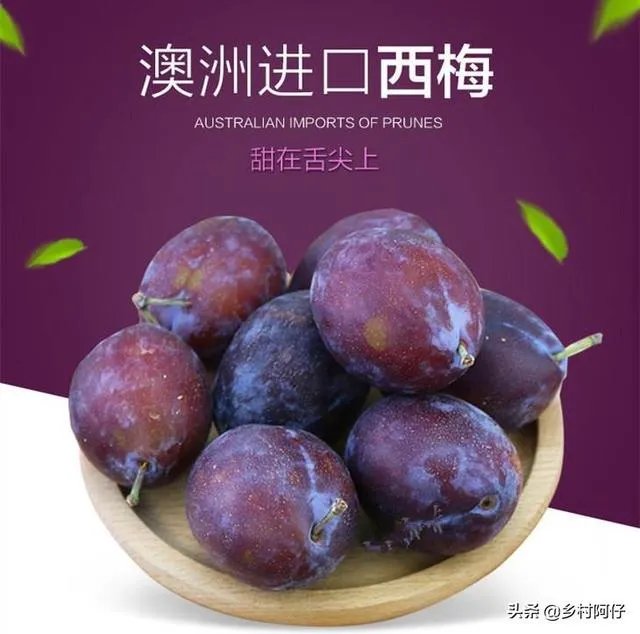 智利西梅好还是澳洲西梅好？