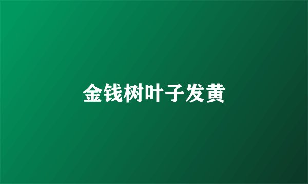 金钱树叶子发黄