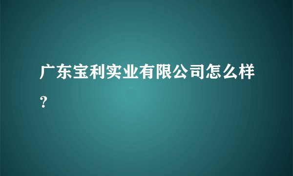 广东宝利实业有限公司怎么样？