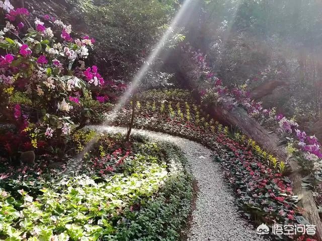 广东省从化市石门国家森林公园好玩吗?从广州市区怎么去?