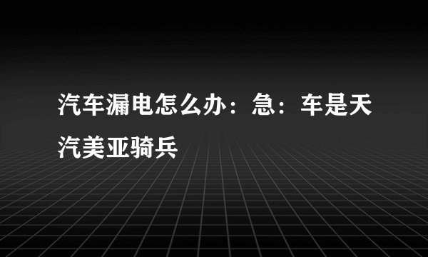 汽车漏电怎么办：急：车是天汽美亚骑兵