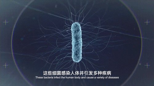 长效抗菌抹布,堪比移动消毒机!给宝宝最健康的生活