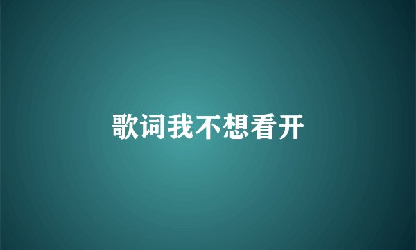 歌词我不想看开
