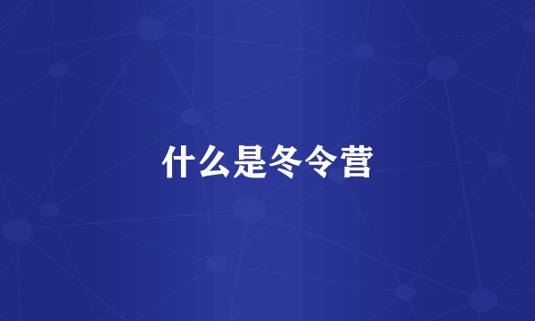 什么是冬令营