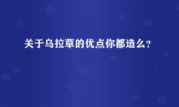 关于乌拉草的优点你都造么?
