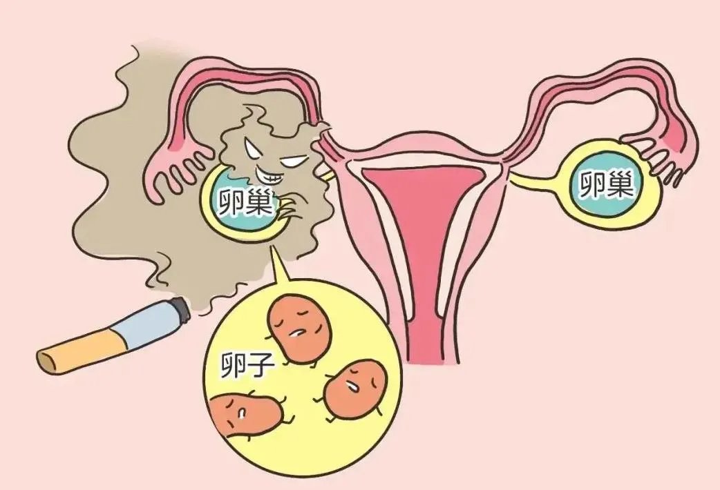 南宁宝宝-试管生殖助孕机构-多地“捐精”倡议背后:捐精合格率如何?