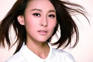 对于贾青就在公路中拍照发文道歉一事,你怎么看?
