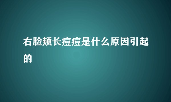 右脸颊长痘痘是什么原因引起的