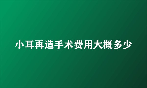 小耳再造手术费用大概多少