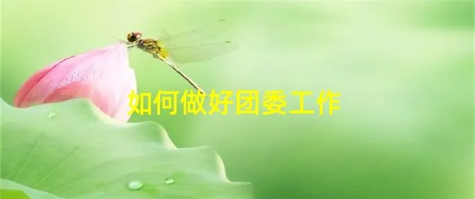 如何做好团委工作