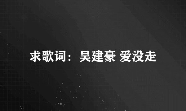 求歌词：吴建豪 爱没走