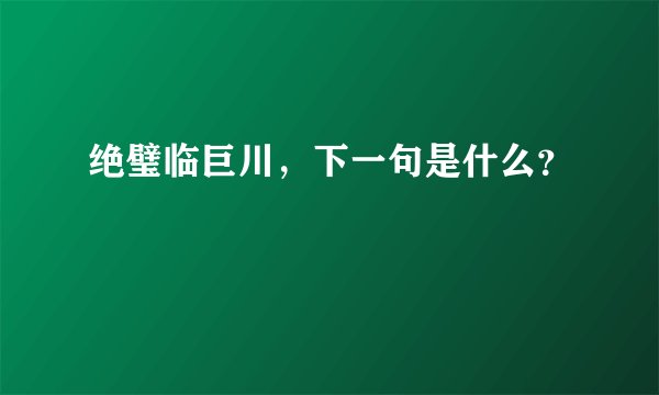 绝璧临巨川，下一句是什么？