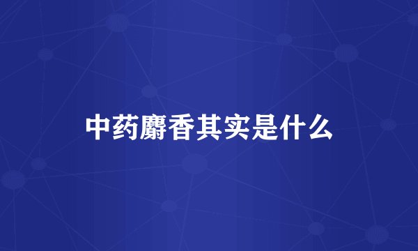 中药麝香其实是什么
