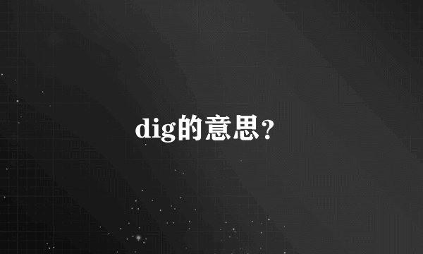 dig的意思？