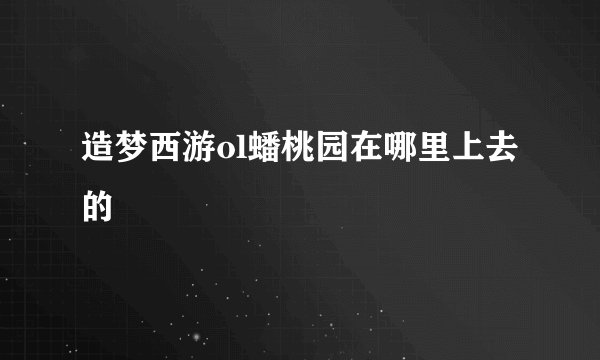 造梦西游ol蟠桃园在哪里上去的