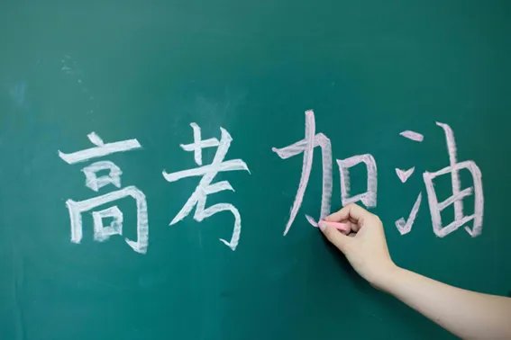 林欢高考分数