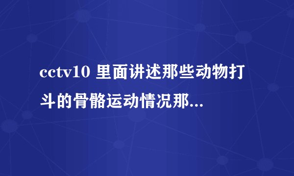 cctv10 里面讲述那些动物打斗的骨骼运动情况那些模拟的东西是叫什么啊？？？外国的，翻译过来的