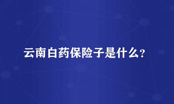 云南白药保险子是什么？