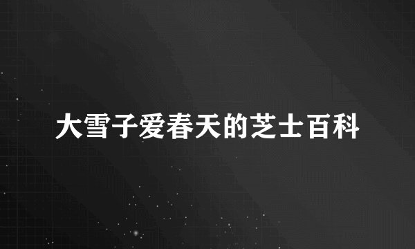 大雪子爱春天的芝士百科