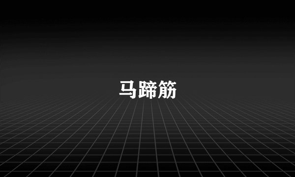 马蹄筋