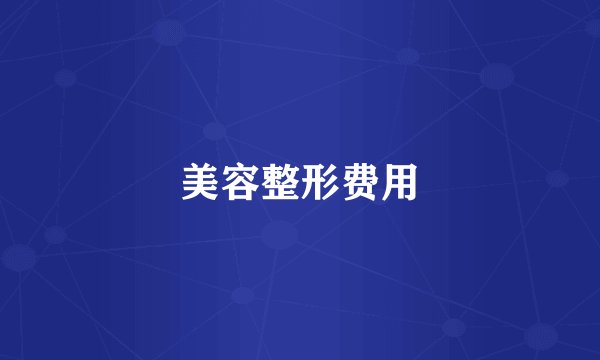 美容整形费用