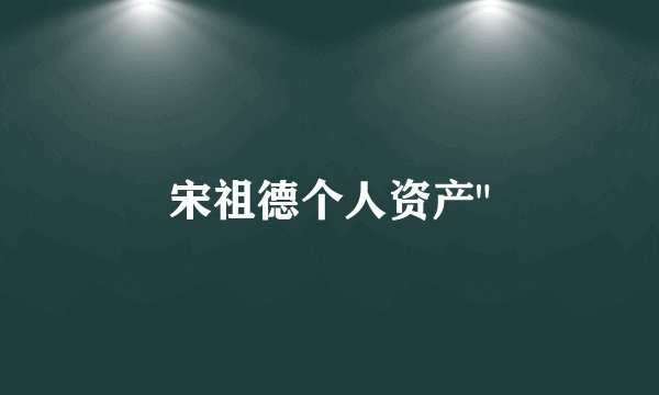 宋祖德个人资产