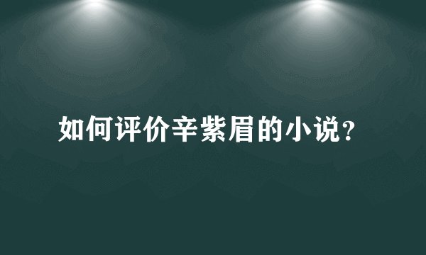 如何评价辛紫眉的小说？