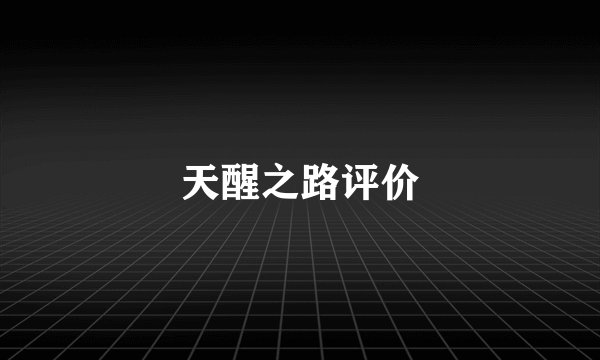天醒之路评价
