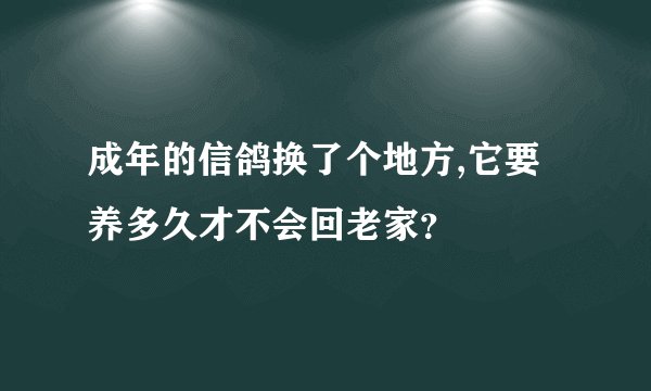 成年的信鸽换了个地方,它要养多久才不会回老家？