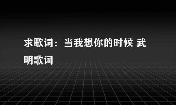 求歌词：当我想你的时候 武明歌词