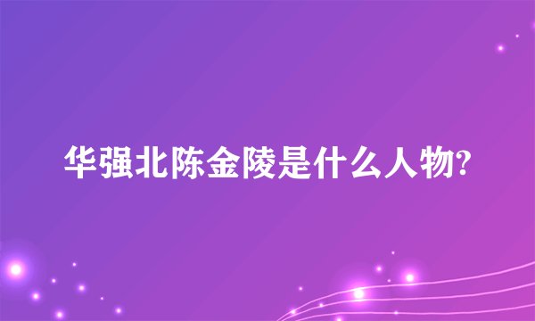 华强北陈金陵是什么人物?