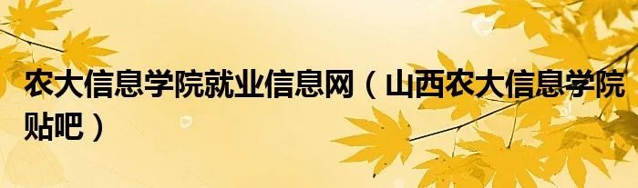 农大信息学院就业信息网（山西农大信息学院贴吧）