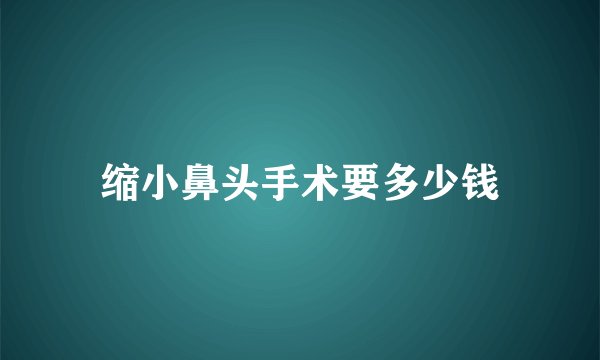 缩小鼻头手术要多少钱