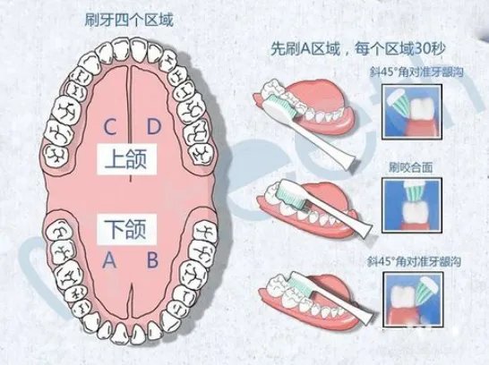 舒客电动牙刷如何使用?