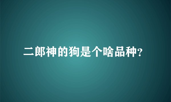 二郎神的狗是个啥品种?
