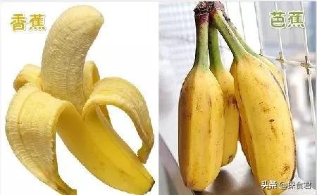 香蕉和芭蕉怎么区别?