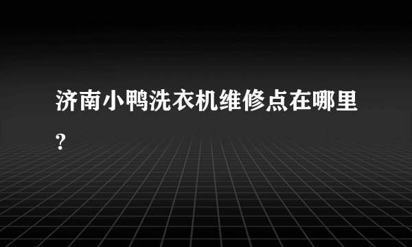济南小鸭洗衣机维修点在哪里?