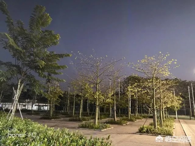 小米6和荣耀v10买哪个好?