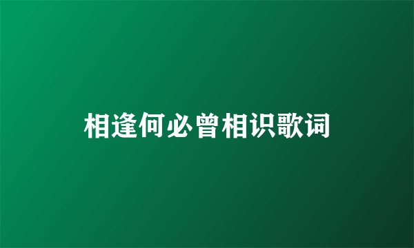 相逢何必曾相识歌词